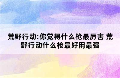 荒野行动:你觉得什么枪最厉害 荒野行动什么枪最好用最强